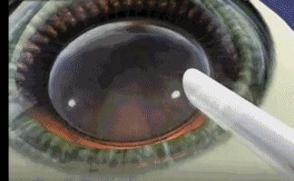 ҪͶôֹۿЩժʽ3.gif